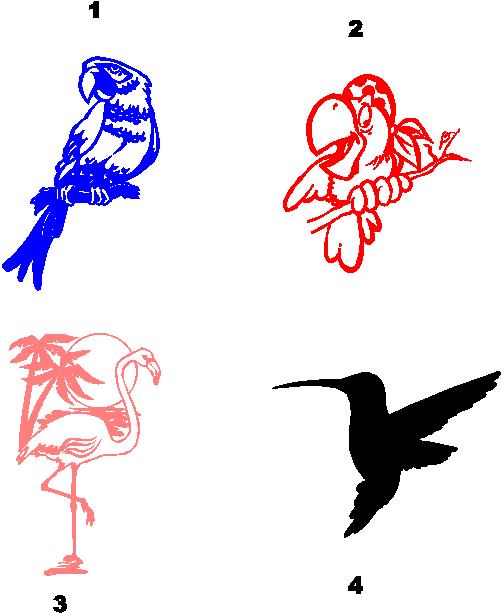 Humming bird, Flamingo, Macaw, Tucan decal decals sticker